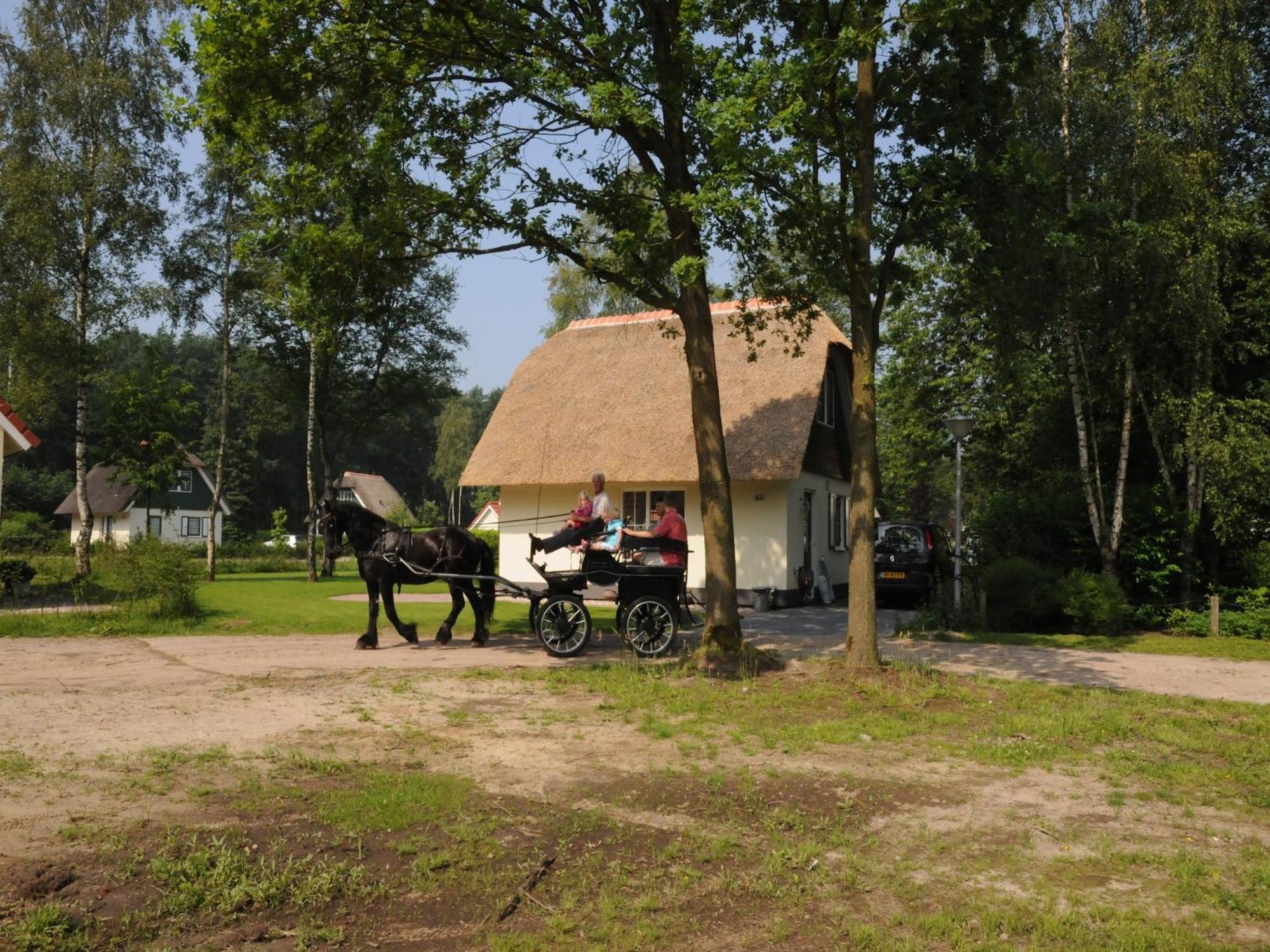 Beautiful Holiday Home In Heeten With Private Garden Bagian luar foto